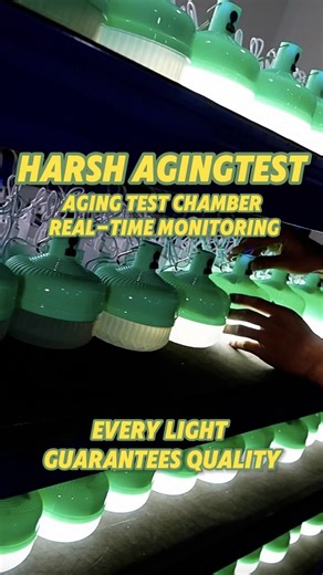 High-Speed Automated Packaging Line Insights