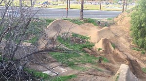 Profile Racing on Reels