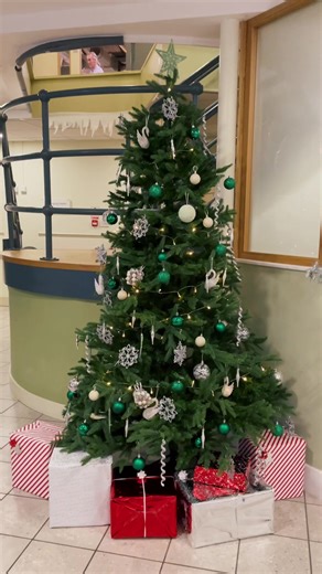 It’s beginning to look a lot like Christmas! 🌟🎄 #nuffieldhealth #christmas #michaelbuble #elfontheshelf #gym #fitness #fittok #workout #chester #northwales #uk #christmastree