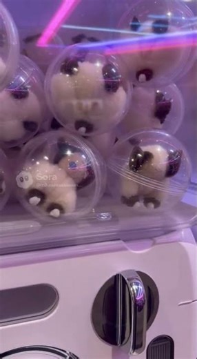 I Got Two The Rarest Gacha Win Amazing Lucky Pull #cat #gacha #gaming