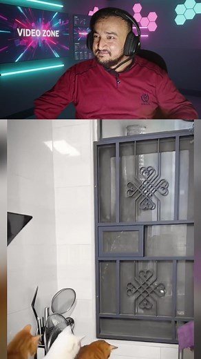 Mouse running #reels #viral #fblifestyle | VideoZone