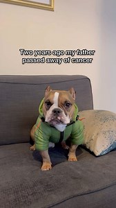 927K views · 10K reactions | You could hear the pin drop  | Teddy Themicrobully | Facebook