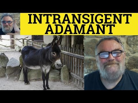 🔵 Intransigent or Adamant - Intransigent Meaning - Adamant Examples - Formal Vocabulary Intransigent