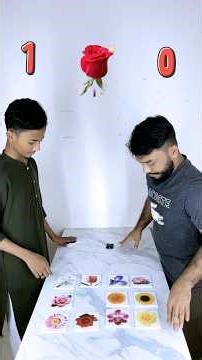 The flowers challenge game #sbsvlog #challengegame