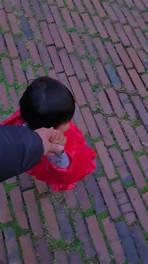 Angela Fonseca on TikTok