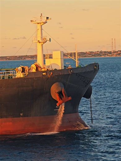 Understanding Ship Components: Anchors and Chains