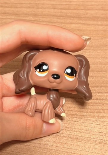 Pretty girl ✨ #lps #fyp #littlestpetshop #lpstok #lpscustom