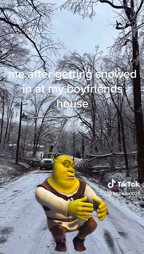 Engaging Green Screen Memes Compilation