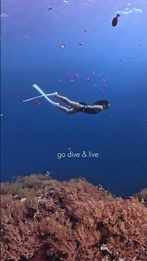 Freediving in Panglao, Bohol Philippines 🐠