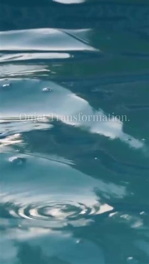 Harmonic Egg Official on TikTok