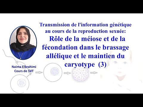 SVT-Bac-Biof Transmission de l'information génétique:brassage interchromosomique intrachromosomique