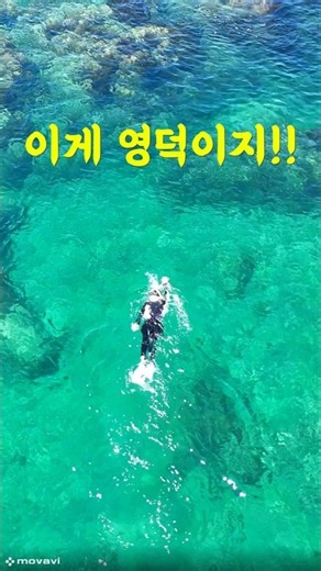 '스노클링 명소' 그냥 미쳤습니다 ~!! #스노클링 #영덕바닷가 #여름휴가 #여행꿀팁 # 동해바다 #영덕대부항 #스노클링 성지 #국내여름여행지추천