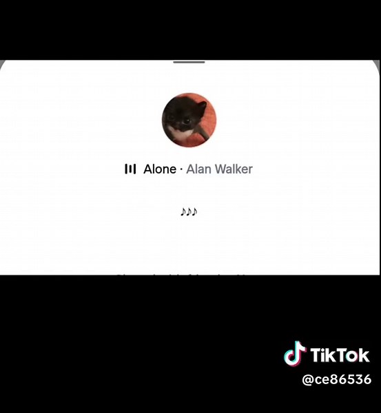 alone - alan walker #songs #lyrics #alone #alanwalker #2016