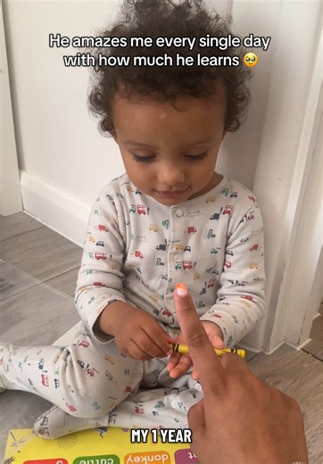 Engaging Learning Posters for Babies and Toddlers