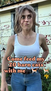 What It's Really Like Having 20 Cats: Honest Farm Life with Cats