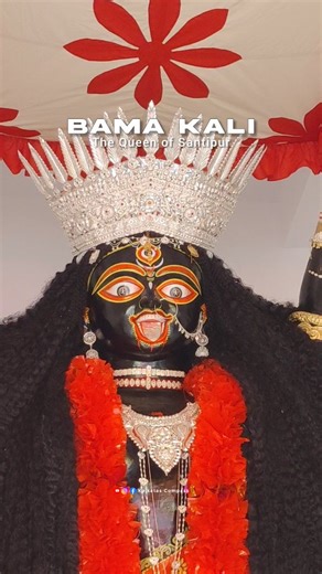 Kolkata's Compass on Instagram: "The Queen of Santipur - Maa Bama Kali 🌺🧡 #bamakali #maabamakali #santipurkalipuja #kalipuja2025 #maakali #bamakalidance #kalipujo #dakatkali #kolkatascompass #firstlook #explorepage"