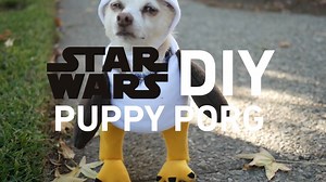 Your puppy would look even more precious as a porg. Learn how to suit them up at http://www.starwars.com/halloween. | Star Wars