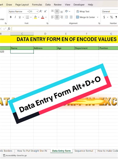 Crear un Formulario de Entrada de Datos en Excel
