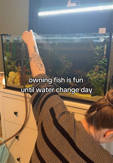 Enjoying My Fish Tank Despite Water Change Stress