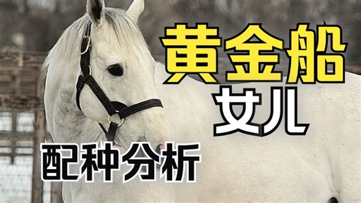 黄金船作为母父的特性？黄金船女儿应该搭配什么种马？黄金船母父特性分析&黄金船女儿配种策略