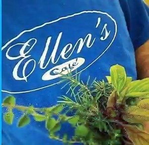 10K views · 268 reactions | From antiques to furniture to one of kind gifts and cuisine, we have it all here for you! We are Old Town Spring! Welcome home! | Old Town Spring Shop Events | Facebook