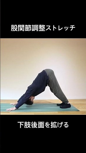 【股関節調整ストレッチ】 ヨーガ・ピラティス：ボディワーク #shorts
