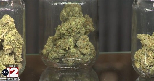 New bill seeks to undo Michigan's new 24% tax on marijuana