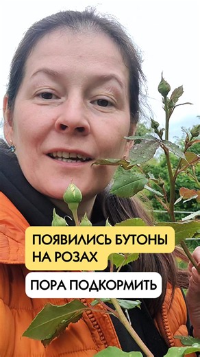 #розы #цветыказань #цветочнаяферма #цветочнаяфермаказань | flowers