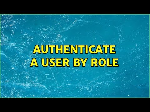 Authenticate a user by role