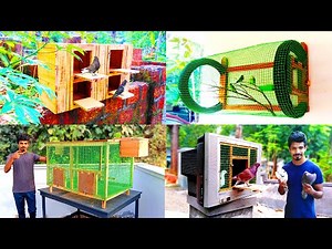 4 Amazing Ways To Make Birds Cage At Your Home | DIY Birds Cage ideas