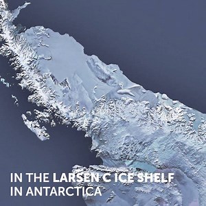 British Antarctic Survey on Reels