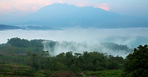 Sabah Tea Garden is a must-visit haven for eco-tourists | New Straits Times