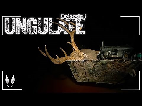 SELF FILMED "DO IT YOURSELF" DEER HUNTING | PUBLIC LAND WATER APPROACH for EARLY SEASON SUCCESS 2024