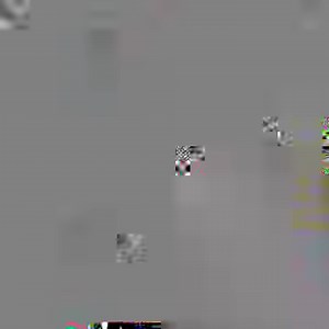 It’s the biggest week of the year for sharks! While you won’t see GloFish® Sharks on TV, they’re fun to watch in your home aquarium. Look for these fluorescent fish lurking in the depths and hiding in plants or rock formations. #GloFish #GloFishSharks #Sharks | GloFish