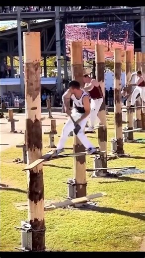 Springboard Chopping is Absolutely Insane #stihl #extreme #shorts