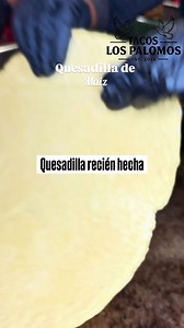Quesadilla de labio #quesadilla #tacoslospalomos #food #delicious | Tacos Los Palomos