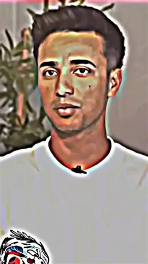 What is Fan Cricket?