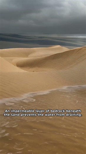 The Strange Truth About Brazil's Desert Lakes