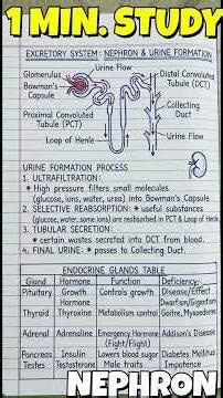 Class 10 ICSE Biology Complete Syllabus | ICSE Class 10 Biology Board Exam 2026 #icse2026 #biology