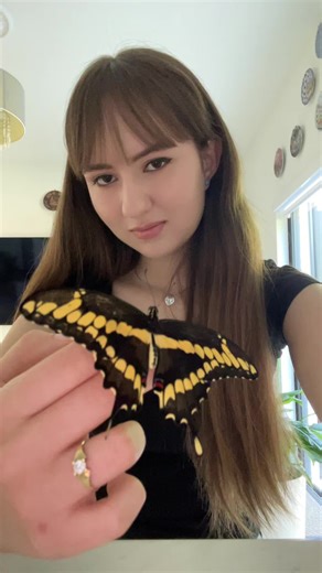 #fyp #aesthetic #gothic #butterfly #lanadelrey