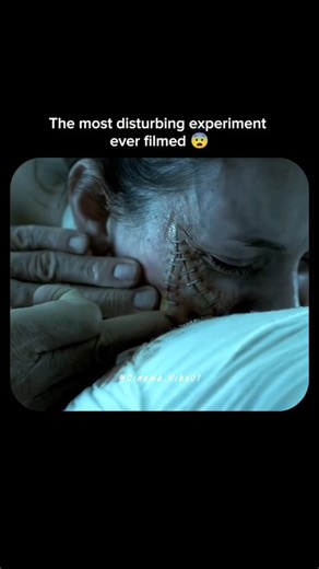 𝑿𝑴𝑨𝑿𝑬𝑫𝑰𝑻𝒁 ✨🦋 | The Human Centipede (2009) is a notorious body-horror film. Its story centers on a deranged, retired surgeon who attempts to create a... | Instagram