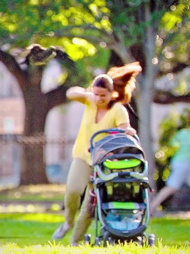 Audra's Brave Encounter with the Bird Attack