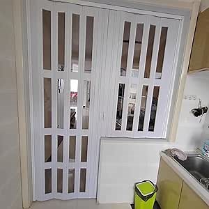 Aluminum Alloy Accordion Door for Interior/Outside, Magnetic Folding Barn Door for Dining Room Living Room, Room Divider Gate for Children's Room(2.5x8ft/76x243cm)