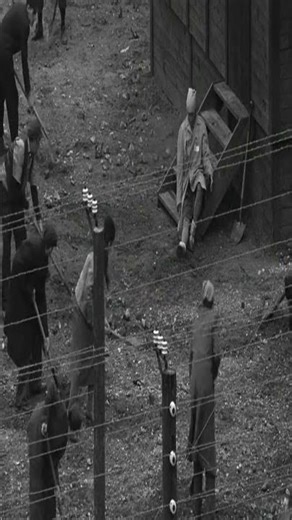 Amon Göth | Schindler's List #movie #shorts