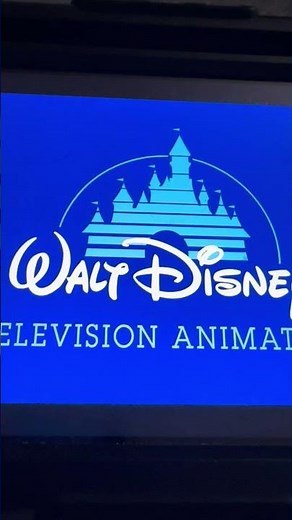 Walt Disney Television Animation/Buena Vista Television (2004/2002)