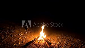 Flames leap from a bonfire, casting a warm glow across the dark night. Sparks dance into the air, creating an enchanting atmosphere in the wilderness