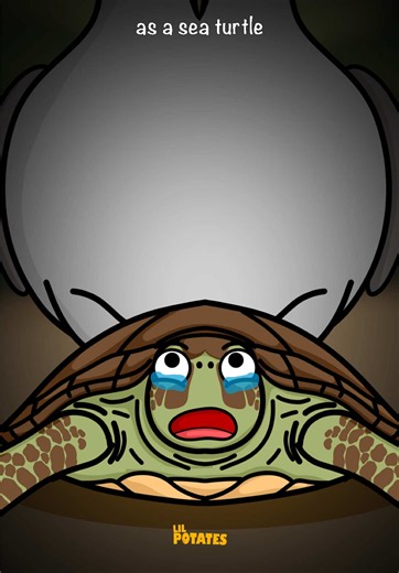 Sea Turtles: The Most Unfortunate Life of a Sea Turtle
