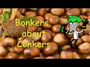 Bonkers about Conkers | Kids Singalong Harvest Song | Words on Screen | Narrowboat Songs from Bonnie