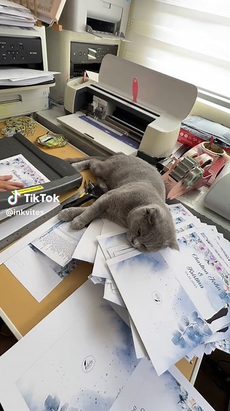 Starting a Successful Printing Business: Tips and Insights