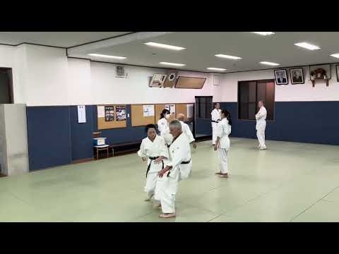 Shodokan aikido applications of atemi waza from a cross-hand grip. Shodokan/Tomiki ryu.